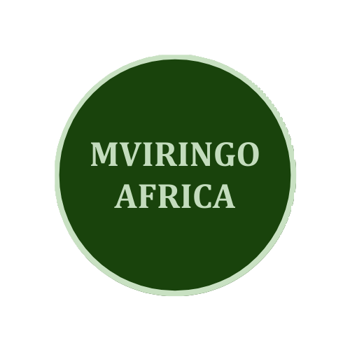 Mviringo Africa Logo 